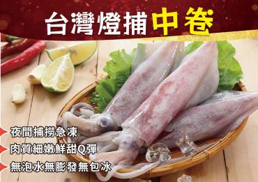 【ShinJi 信吉】台灣燈捕野生中卷