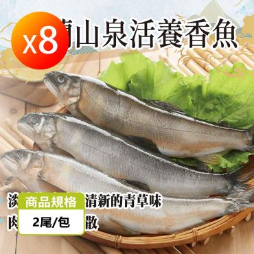 【預購10/2出貨】宜蘭山泉活養香魚 8包
