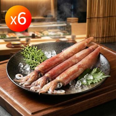 【信吉嚴選】野生手釣砲管透抽 6尾