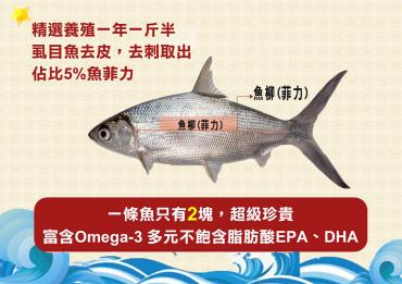 【預購9/4出貨】【ShinJi 信吉】虱目魚排6片  6包