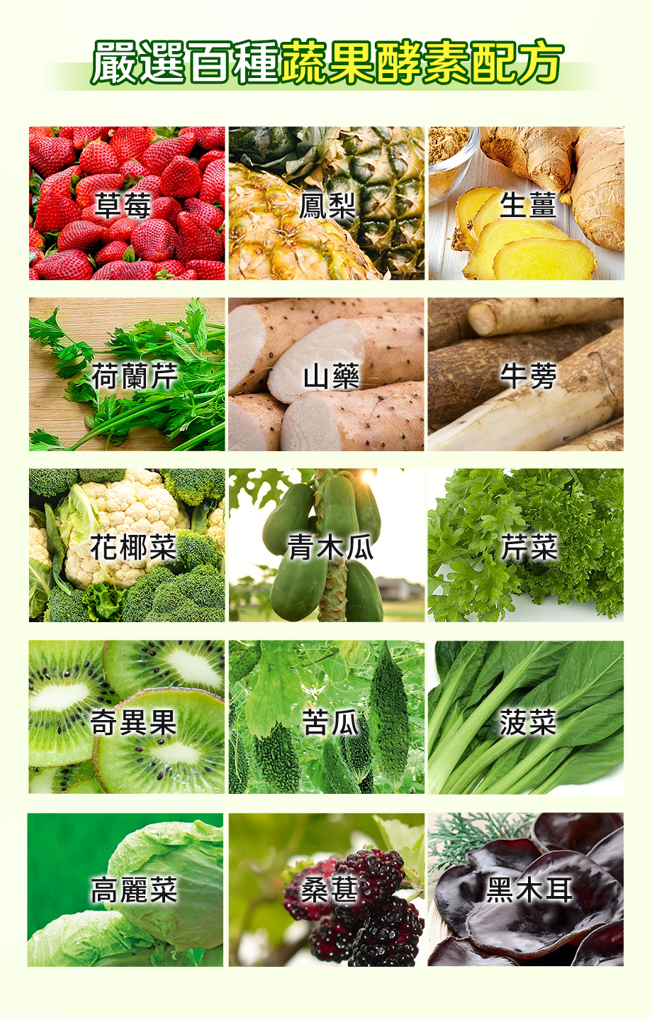 信吉生醫_酵素X益生菌_消化_代謝_順暢_蔬果酵素_鳳梨酵素_苦瓜酵素