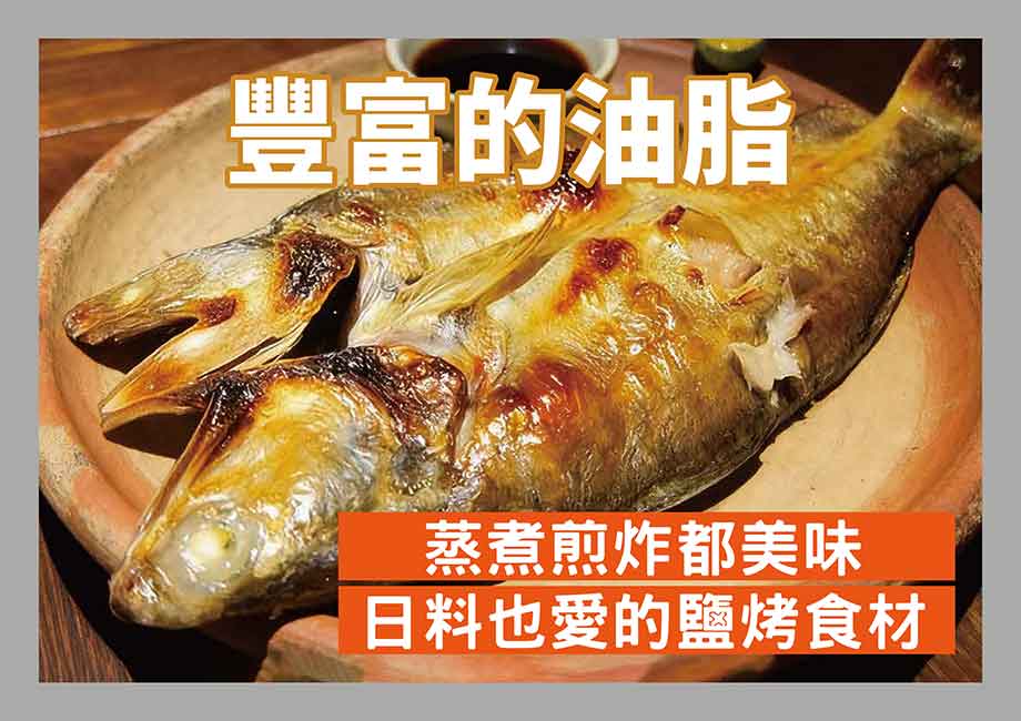 信吉嚴選_台灣午仔魚_豐富油脂