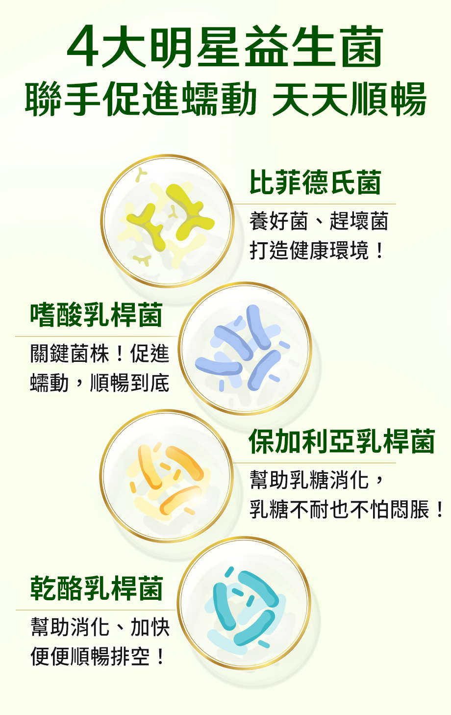 信吉生醫_酵素X益生菌_幫助消化_代謝_順暢_比菲德氏菌_嗜酸乳桿菌_保加利亞乳桿菌_乾酪乳桿菌