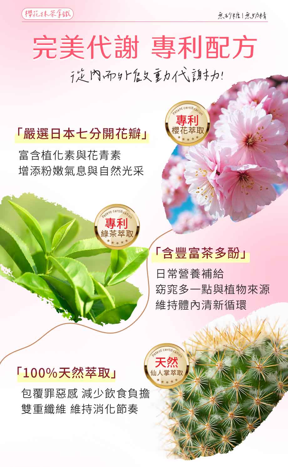 信吉生機_櫻花抹茶拿鐵_花青素_綠茶萃取_茶多酚