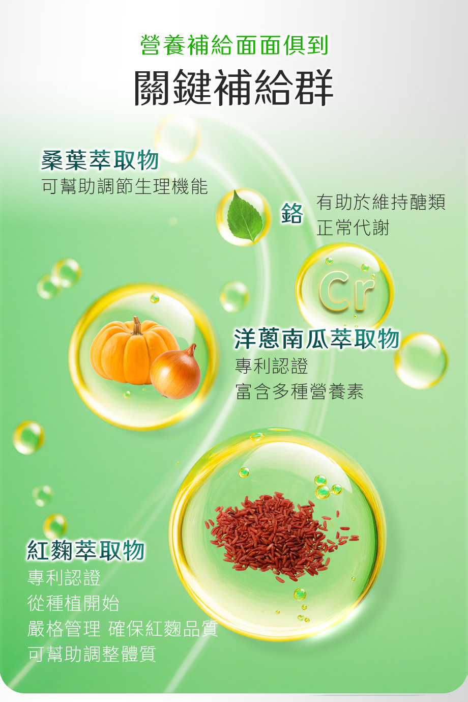 肽平衡3EX_桑葉萃取物_鉻_洋蔥南瓜萃取