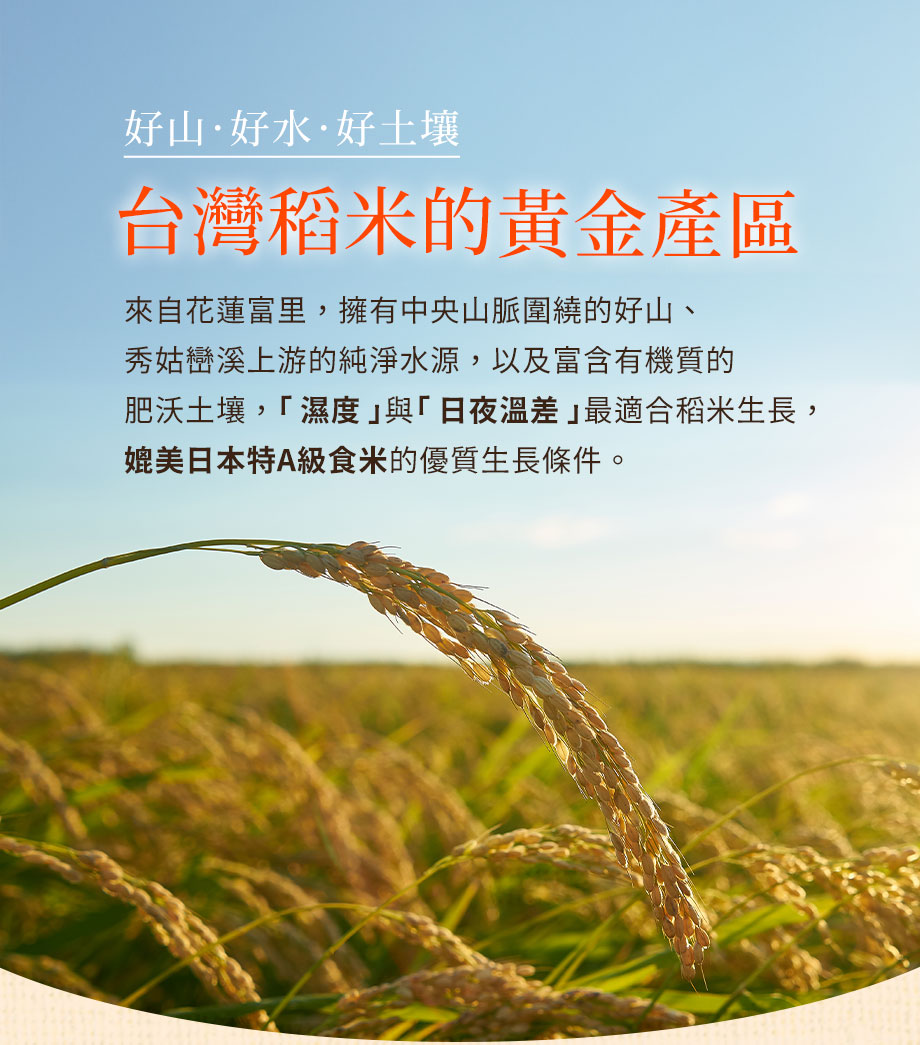 信吉生機_花東有機御光胚芽米_台灣稻米