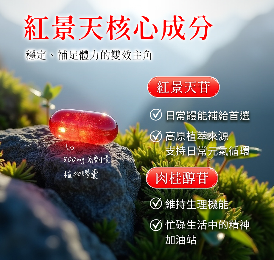 信吉生醫_紅景天_紅景天苷_肉桂醇苷_調整生理機能_日常補給_500mg高劑量_植物膠囊