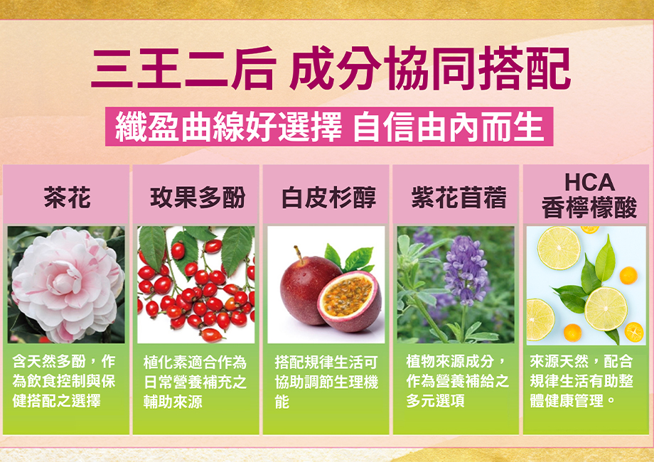 IVENOR_十時塑_孅檸茶_代謝_輕盈_多酚