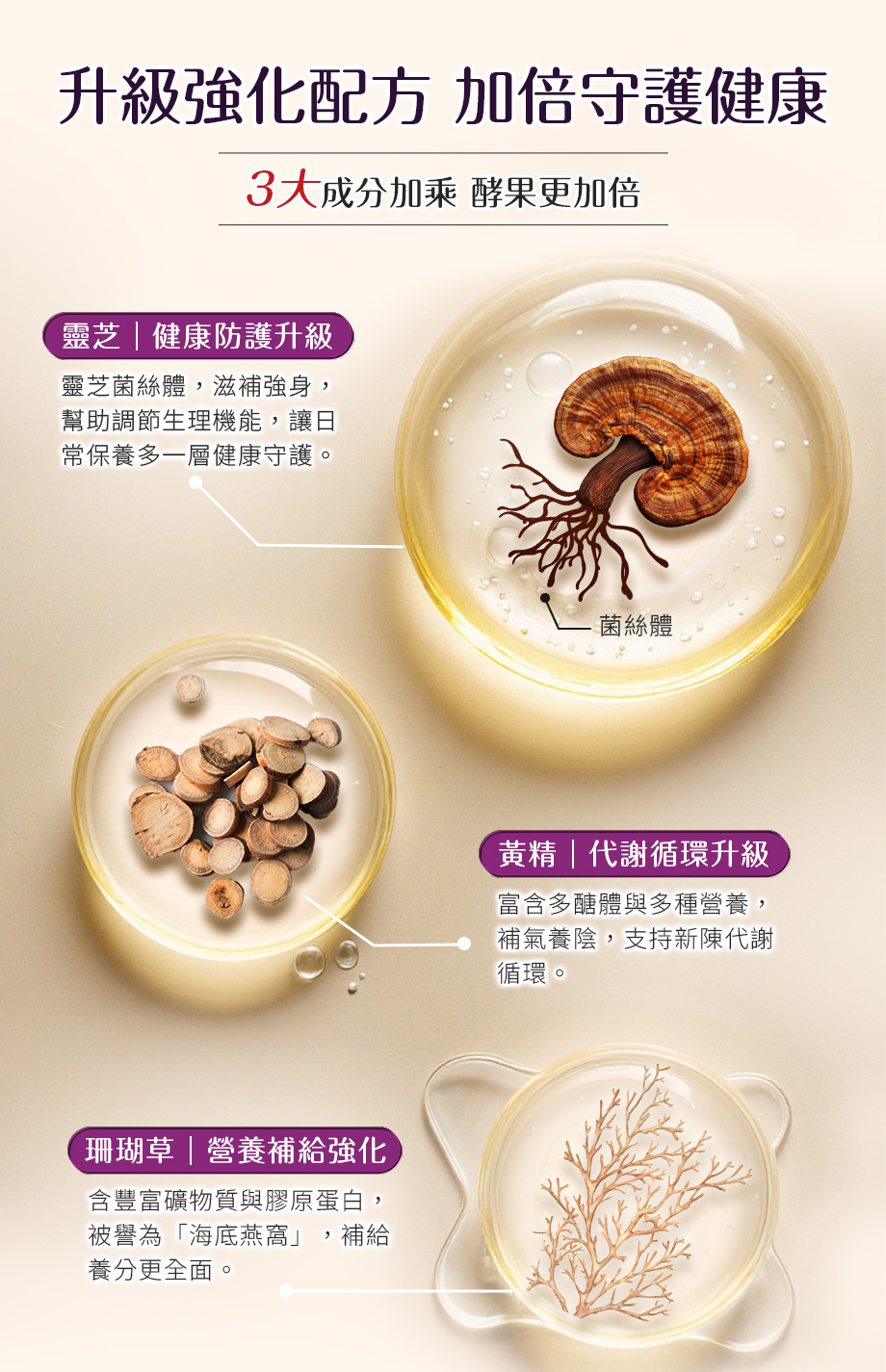信吉生醫_百膳纖酵素_升級版_靈芝_健康防護_代謝循環_營養補給