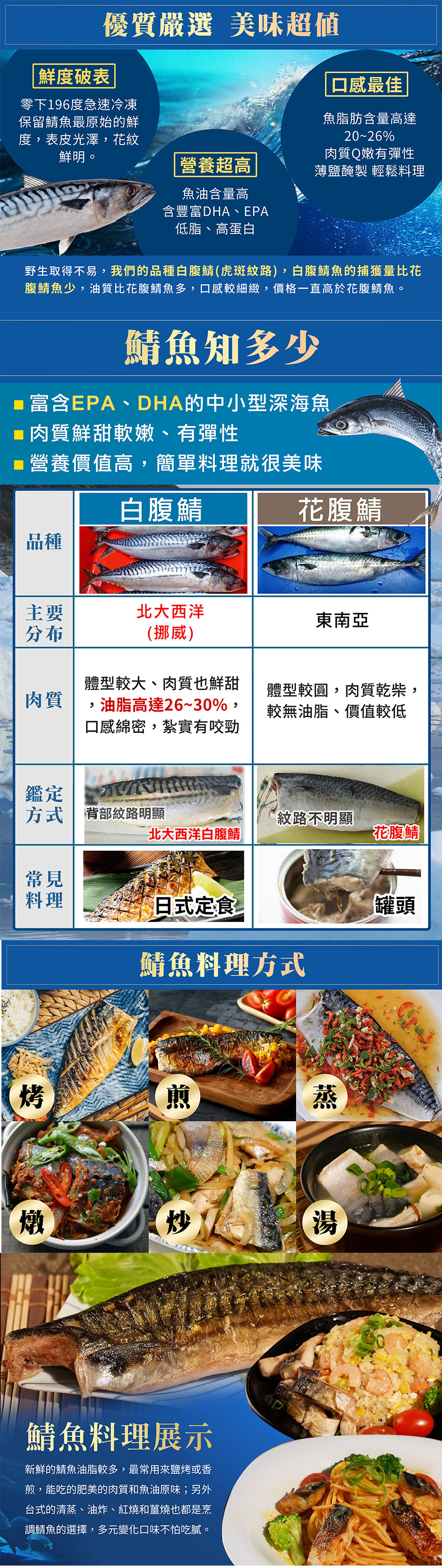 挪威鯖魚