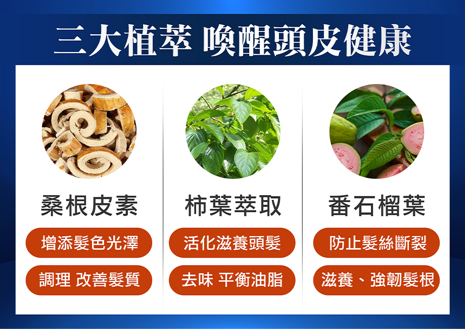 三大植萃_喚醒頭皮健康