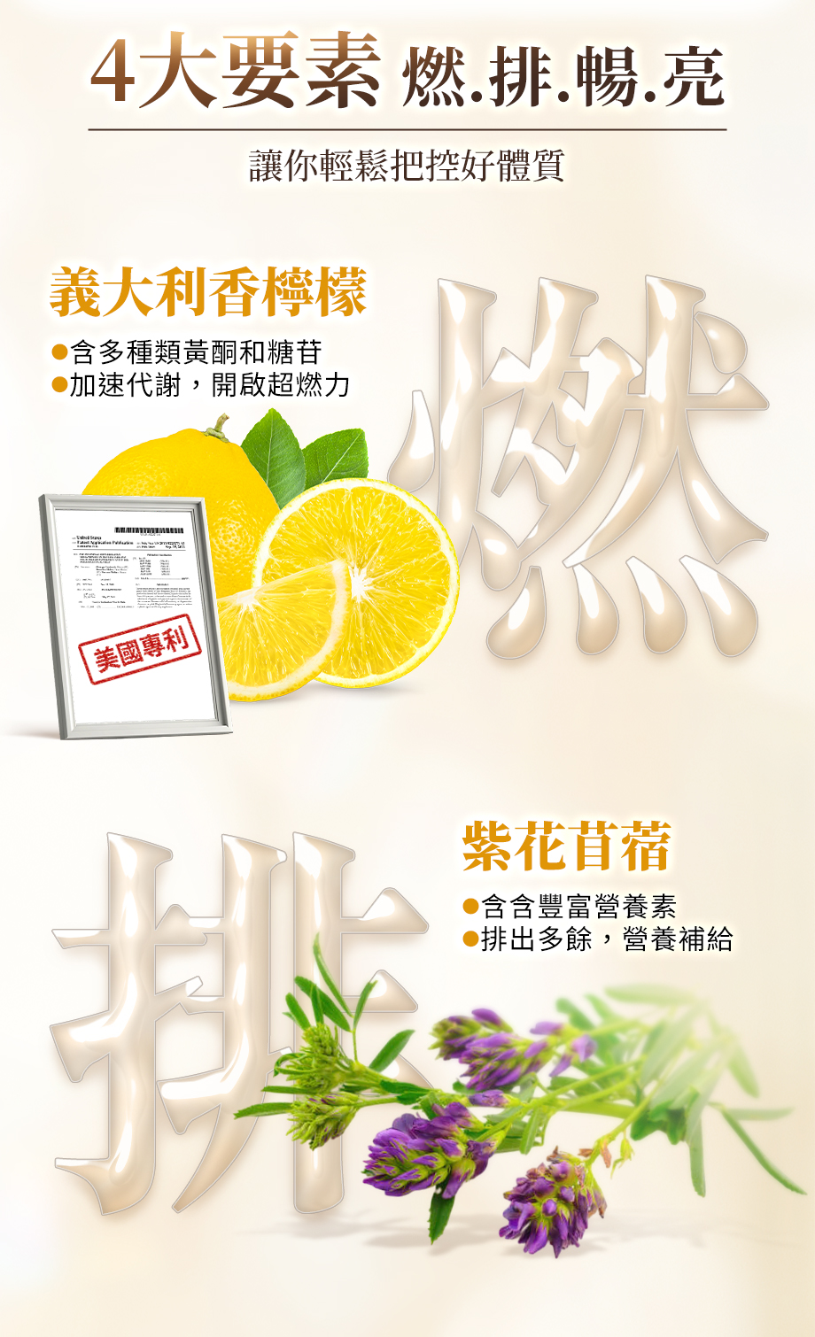 IVENOR_十時塑孅檸茶_義大利香檸檬_紫花苜蓿