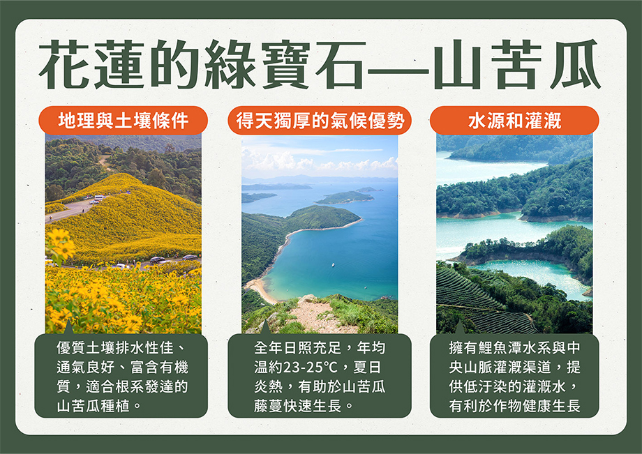 誠漢嚴選_天然無添加山苦瓜茶_花蓮山苦瓜