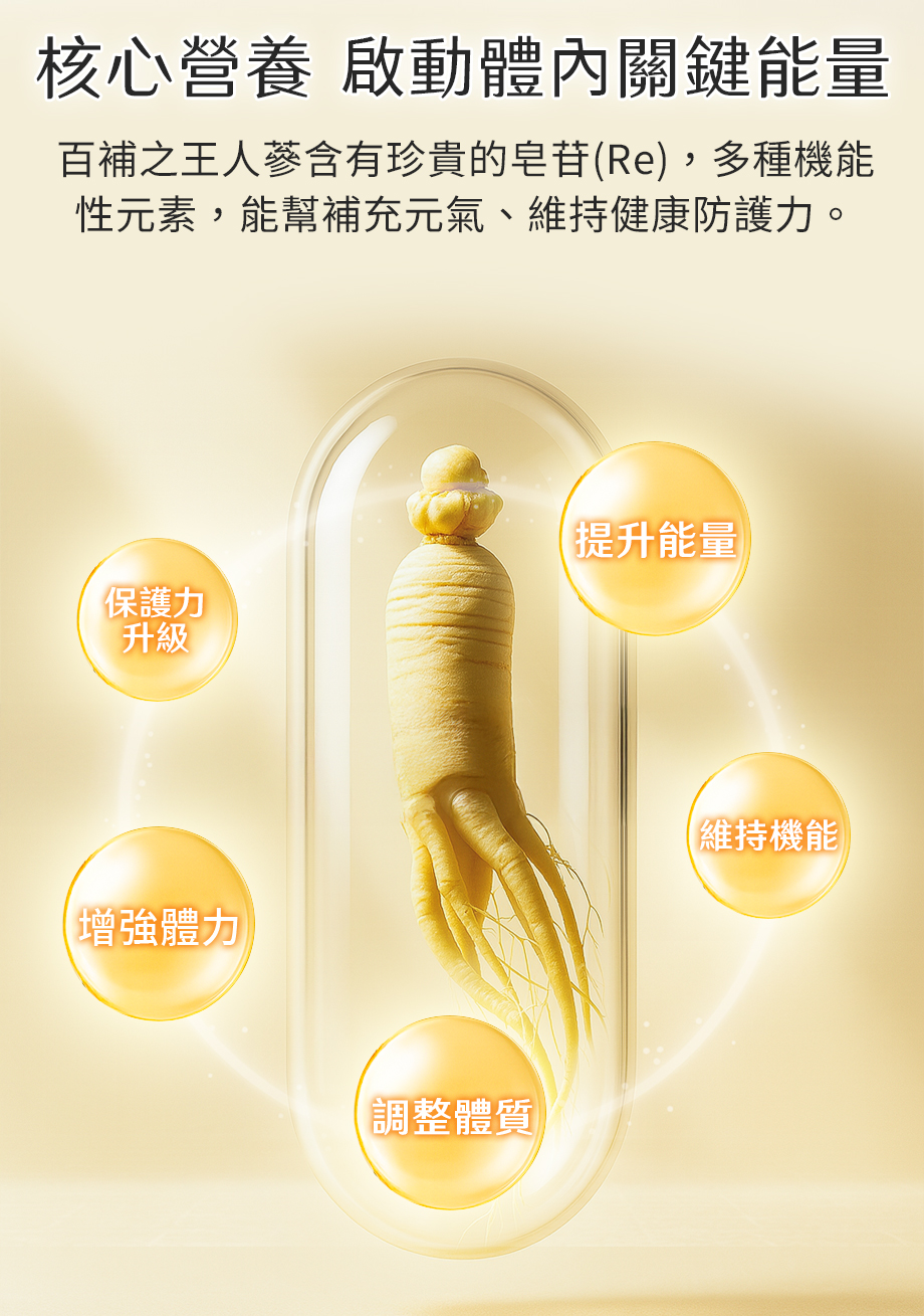 信吉生醫_薩保寧野人參精華膠囊_健康食品_人蔘皂苷_保護力升級_增強體力_調整體質