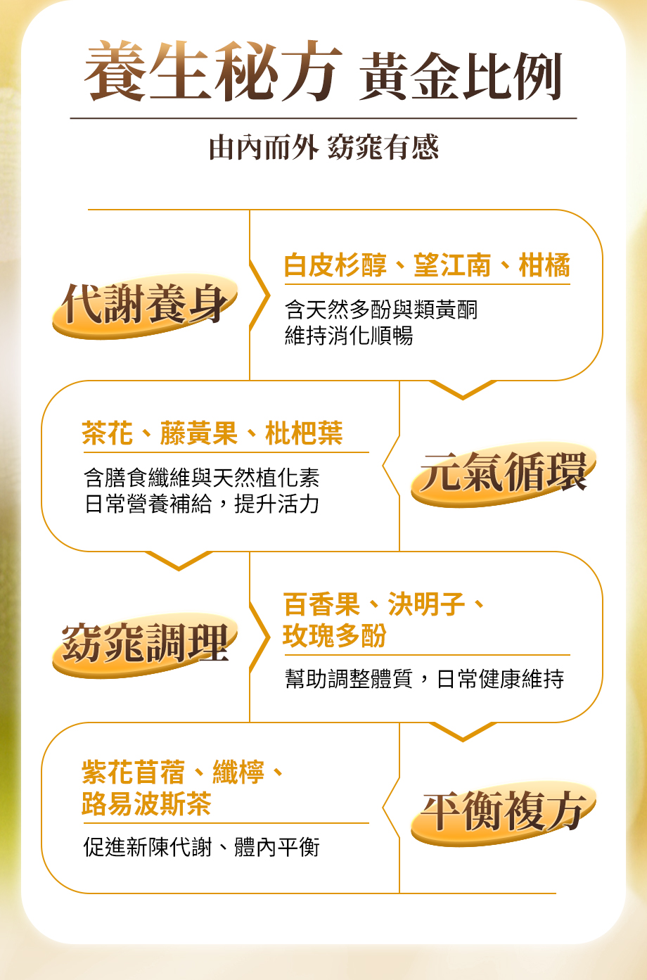 IVENOR_十時塑孅檸茶_窈窕調理_代謝養身_促進新陳代謝