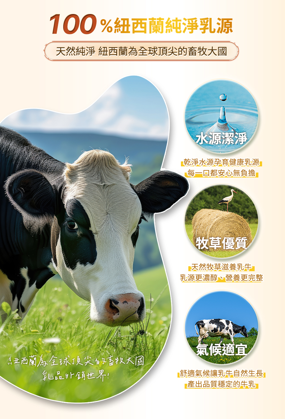 信吉生機_高纖營養素 養生奶粉_紐西蘭乳源