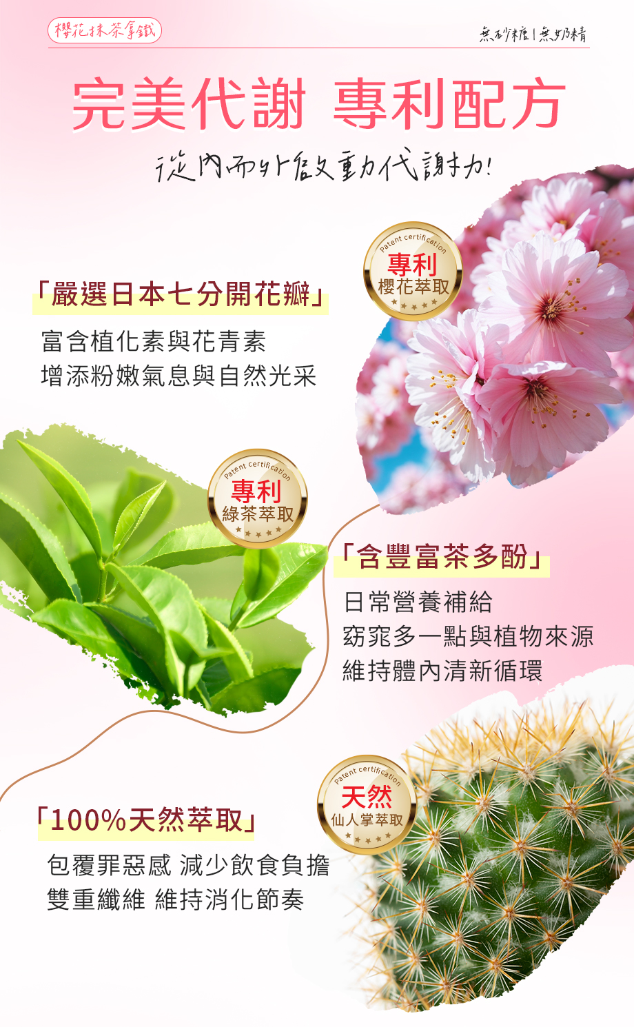 信吉生機_櫻花抹茶拿鐵_花青素_綠茶萃取_茶多酚