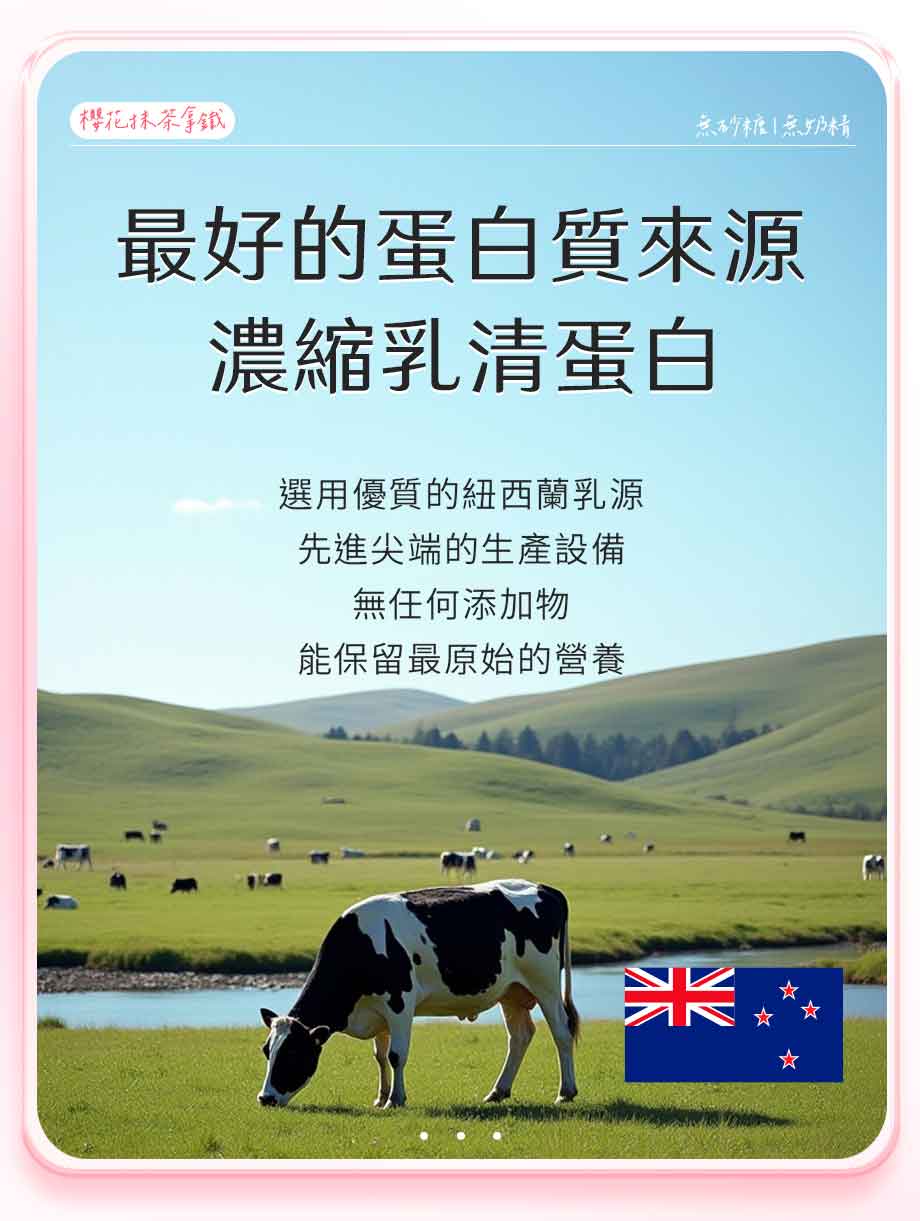 信吉生機_櫻花抹茶拿鐵_紐西蘭乳清蛋白