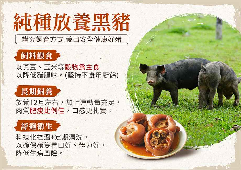 小沈爺_添福添壽豬腳麵線_台灣黑豬_穀物餵養