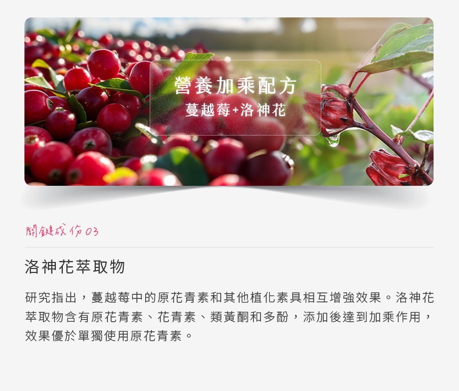 365 PLUS_SUPER SECRET美莓益生菌_洛神花萃取