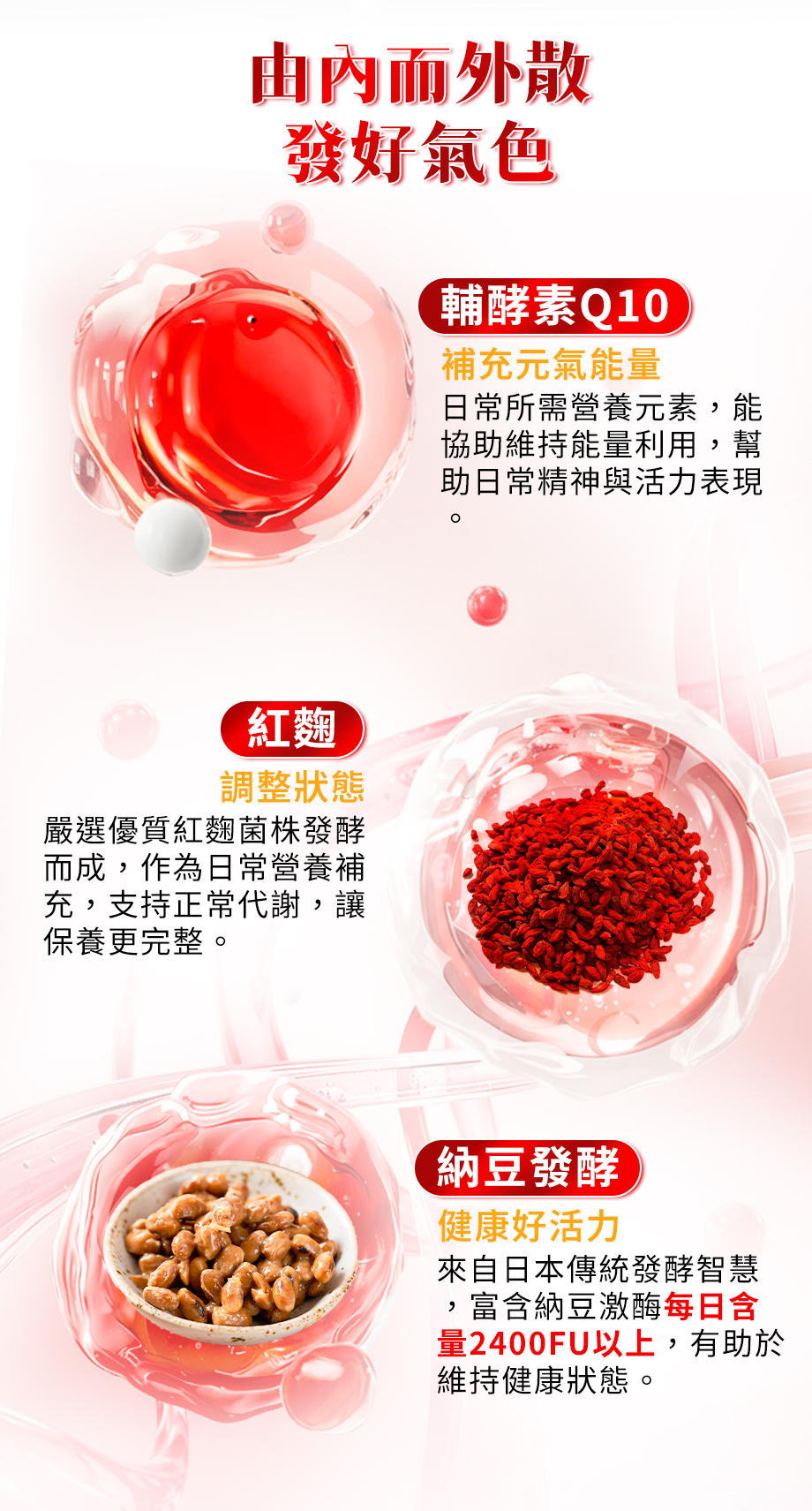 輔酵素Q10_紅麴_納豆發酵