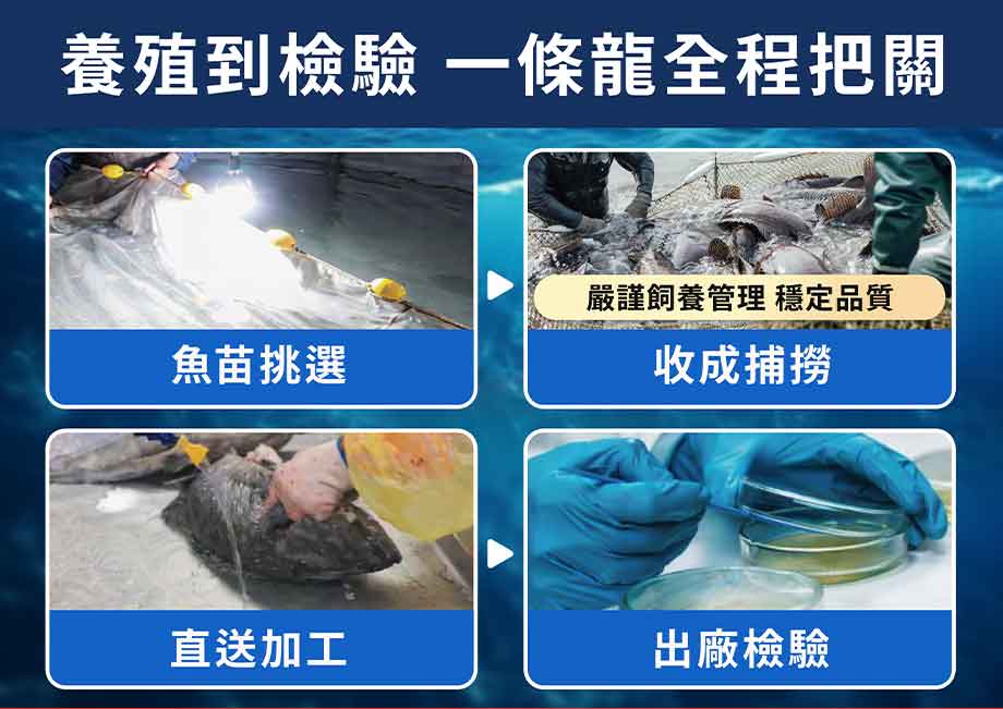 信吉嚴選_龍虎斑菲力_養殖到檢驗一條龍全程把關