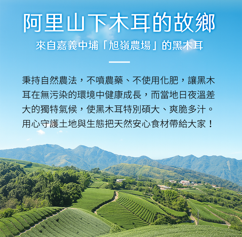 信吉生機_有機紅藜紅棗黑木耳_嘉義中埔木耳