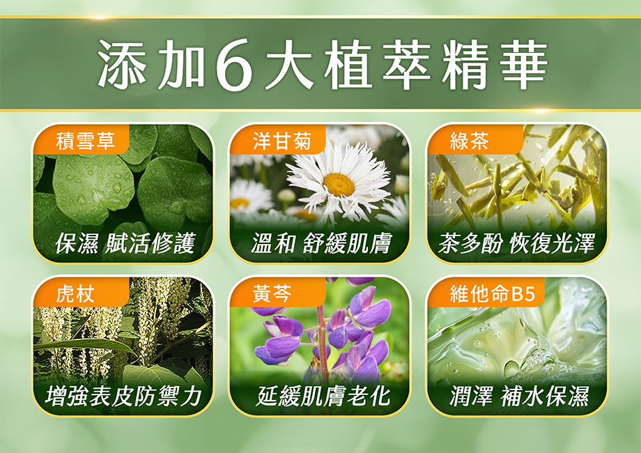 山芙蓉草本修護凝膠_積雪草_洋甘菊_綠茶_維他命B5