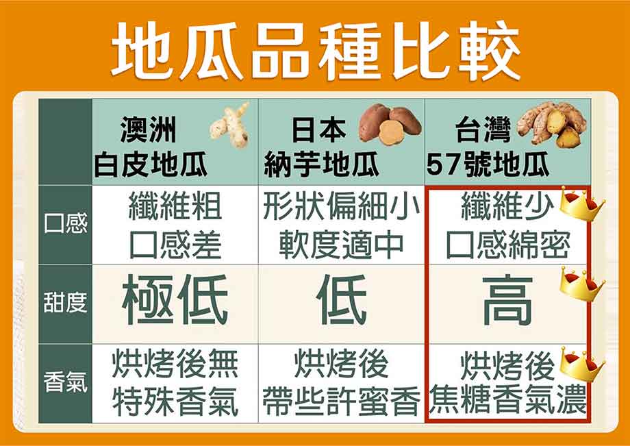 地瓜品種比較