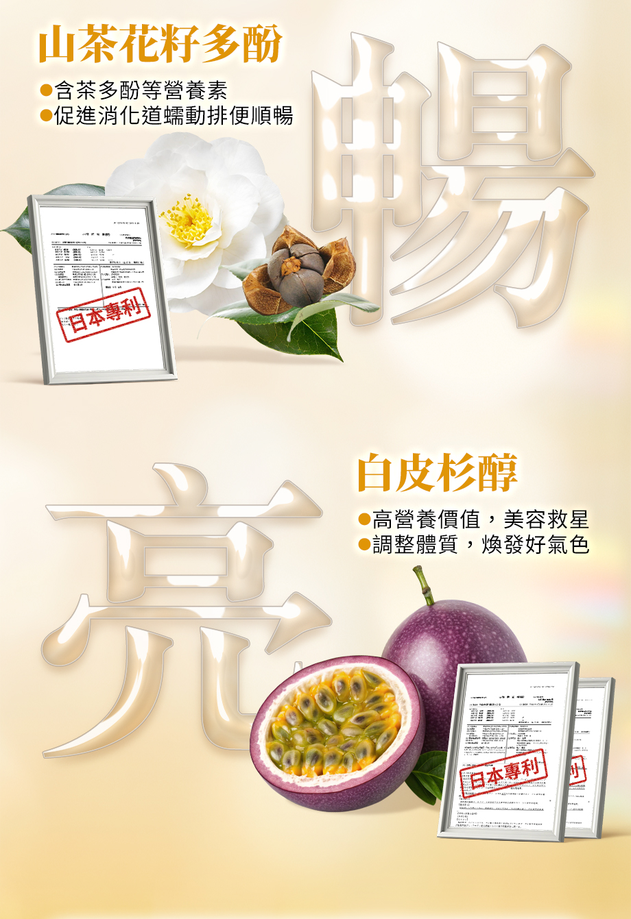 IVENOR_十時塑孅檸茶_山茶花籽多酚_白皮杉醇