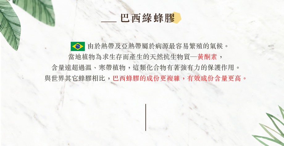 信吉生醫_頂級巴西綠蜂膠_黃酮素