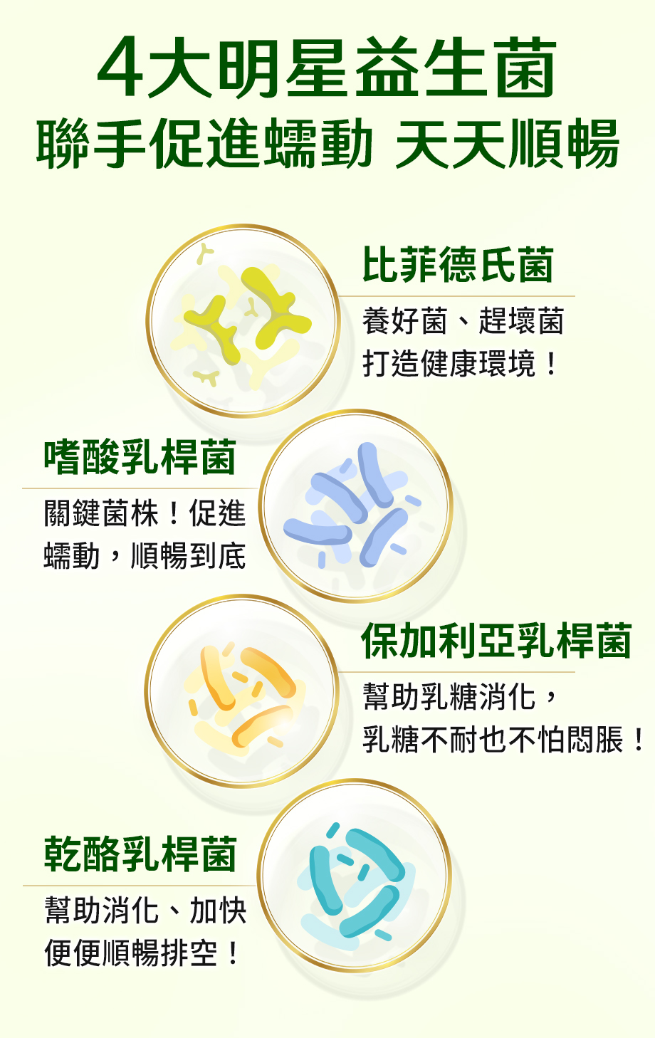 信吉生醫_酵素X益生菌_幫助消化_代謝_順暢_比菲德氏菌_嗜酸乳桿菌_保加利亞乳桿菌_乾酪乳桿菌