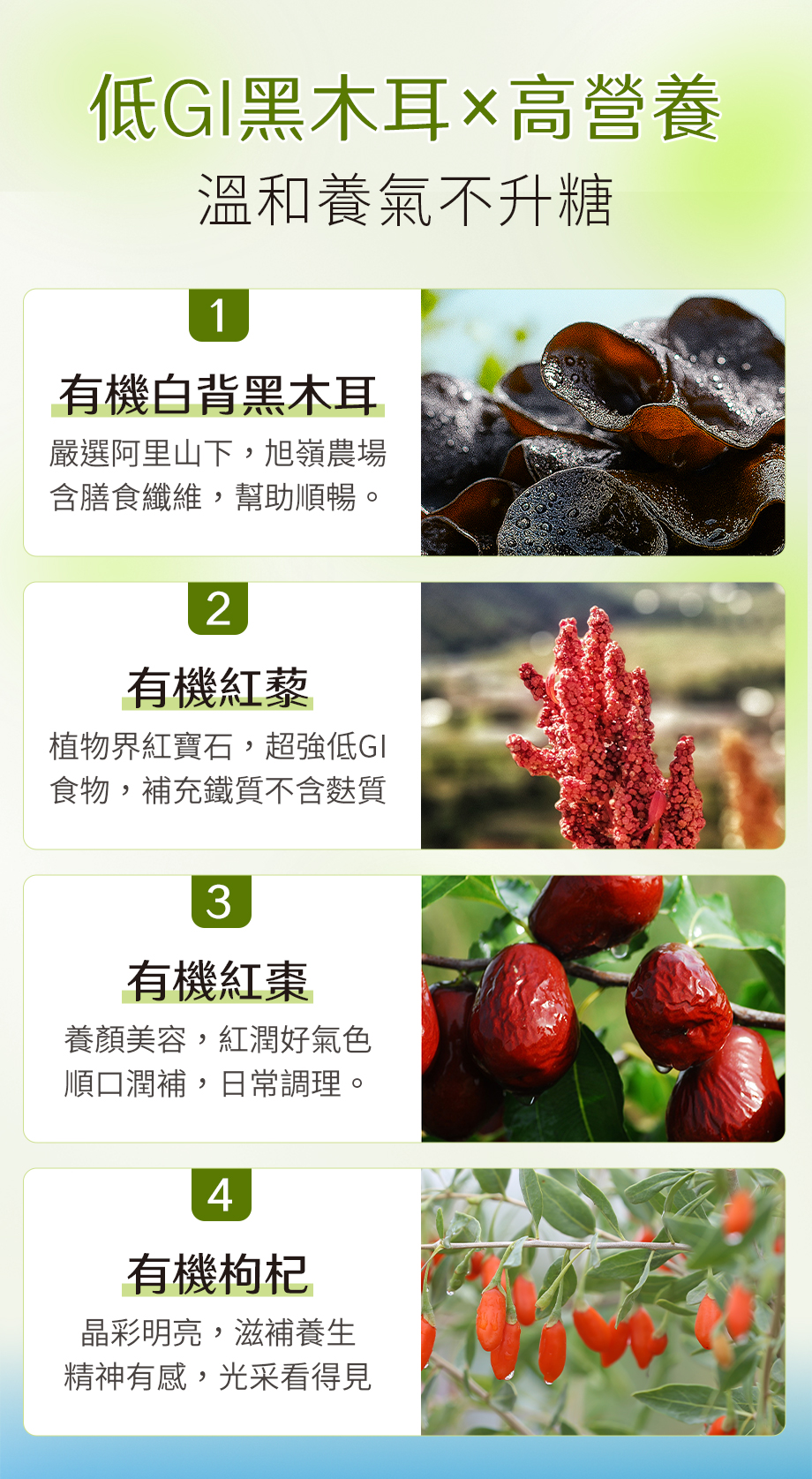 信吉生機_有機紅藜紅棗黑木耳_低GI飲品_高營養_白背黑木耳