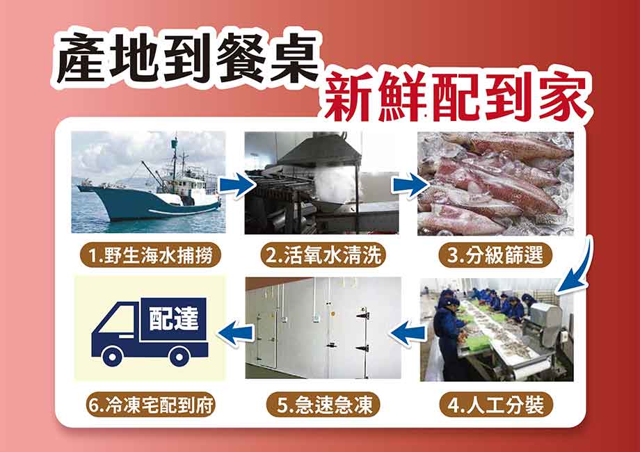 信吉嚴選_野生手釣砲管透抽_產地到餐桌新鮮配到家