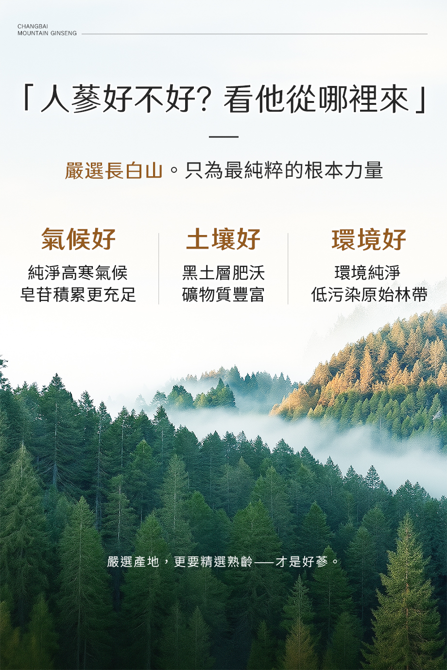 信吉生醫_薩保寧野人參精華膠囊_健康食品_長白山人蔘