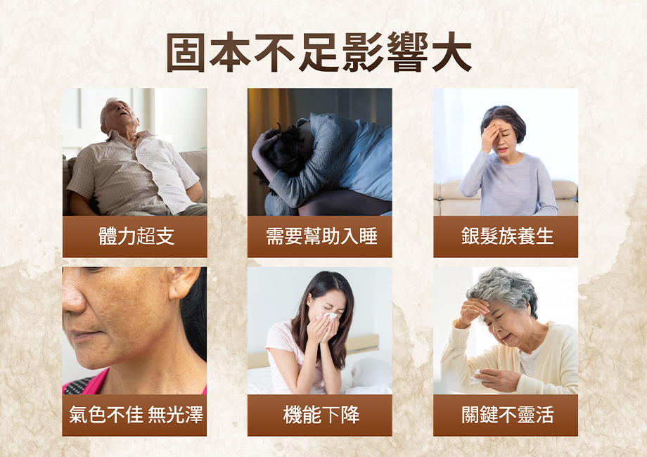 華陀扶元堂_十二味龜鹿鈣強膠原錠_固本不足影響大