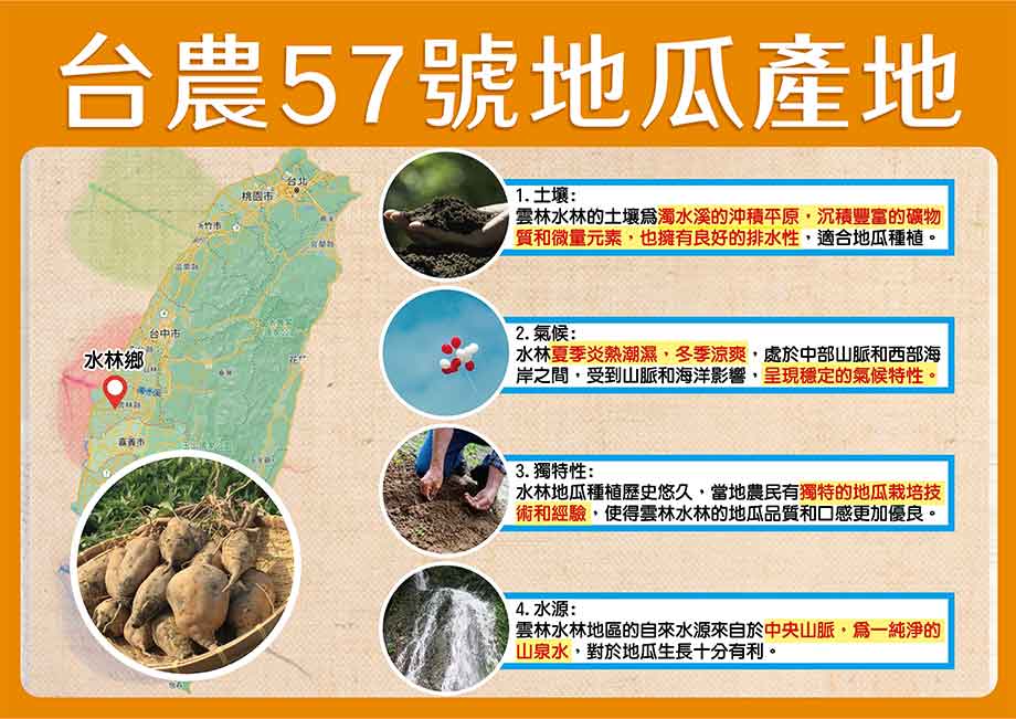 台農57號地瓜產地
