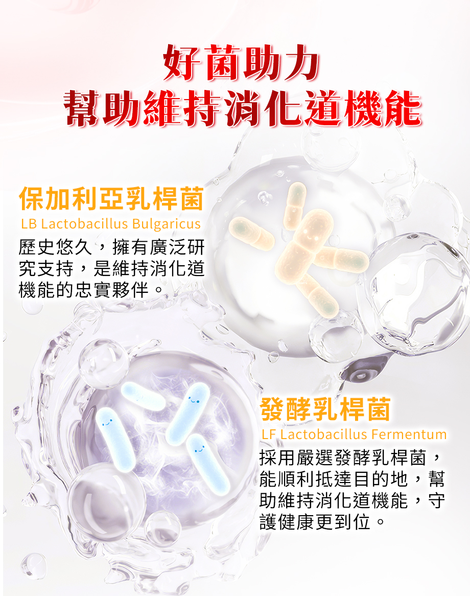 好菌助力_消化道機能_發酵乳桿菌_保加利亞乳桿菌