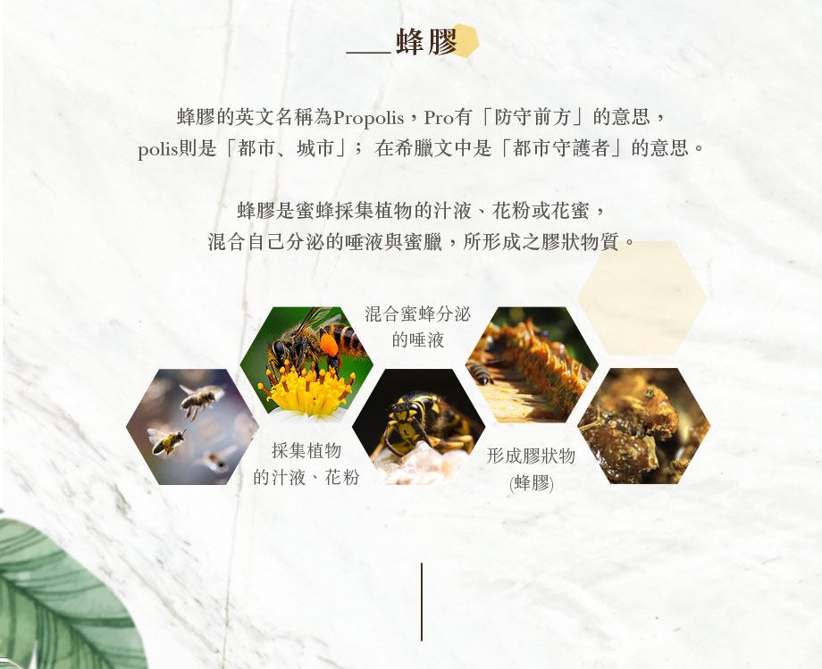 信吉生醫_頂級巴西綠蜂膠_蜂膠