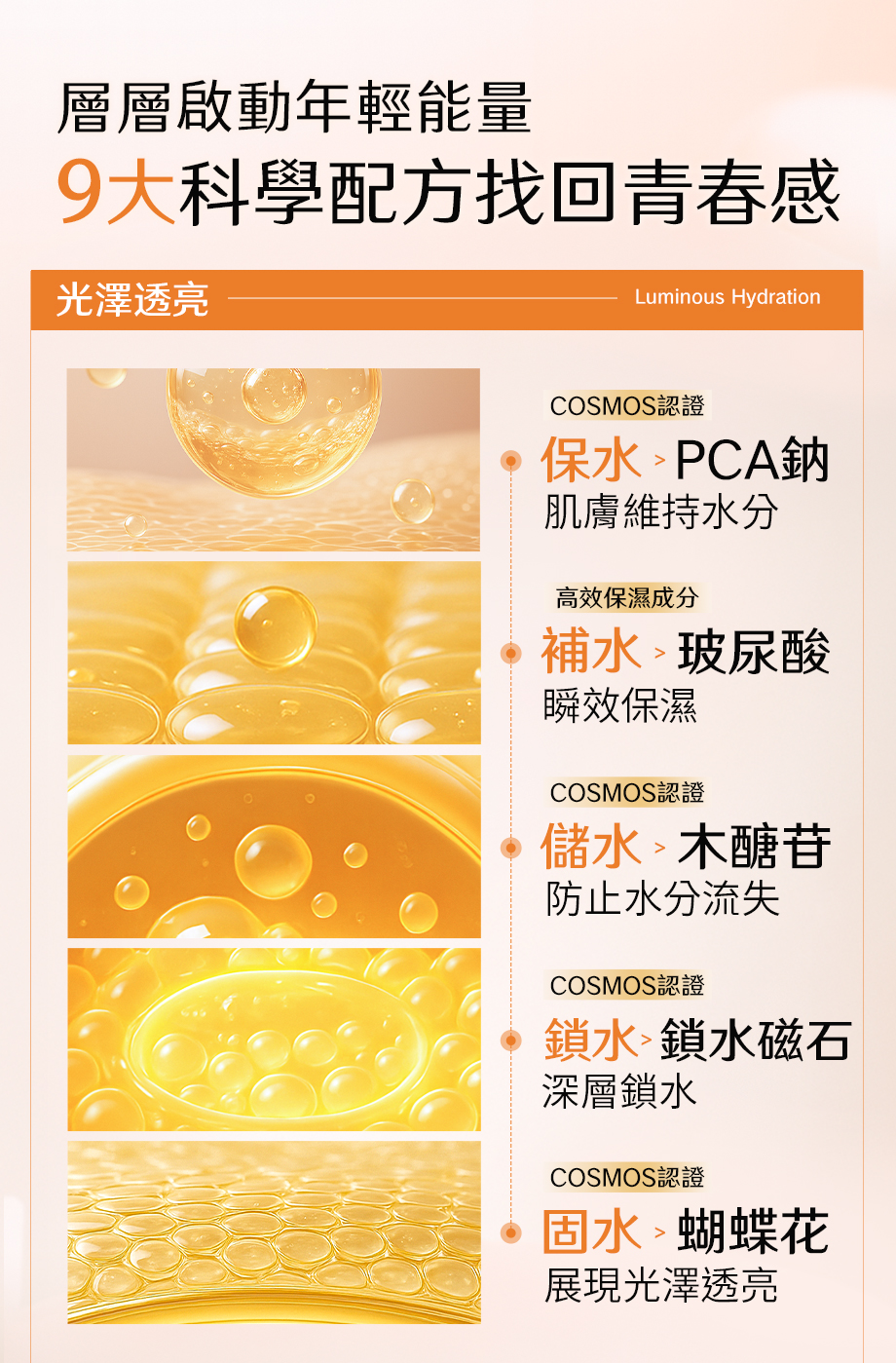 DEAR SECRET_胎盤緊緻青春露_PCA鈉鹽_玻尿酸_木糖苷_鎖水磁石_蝴蝶花
