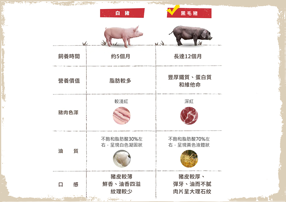 小沈爺_添福添壽豬腳麵線_黑毛豬