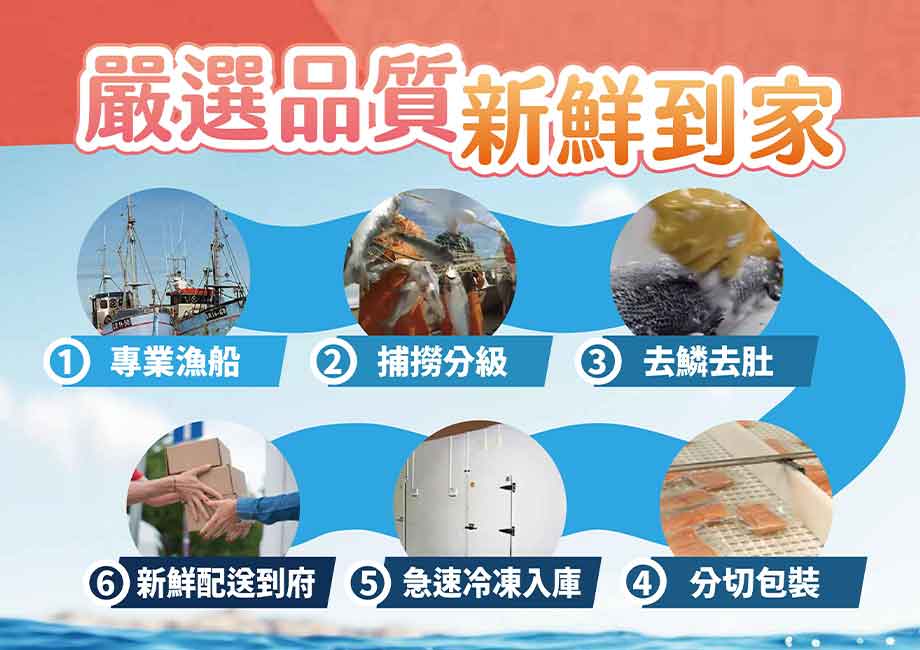 智利鮭魚菲力_新鮮到家