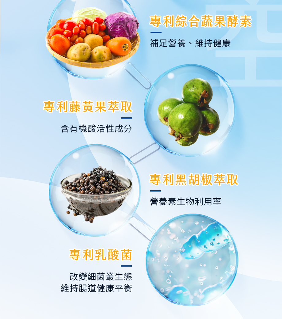 長泰健康_紅藜果膠仙暢凍_綜合蔬果酵素_藤黃果_乳酸菌